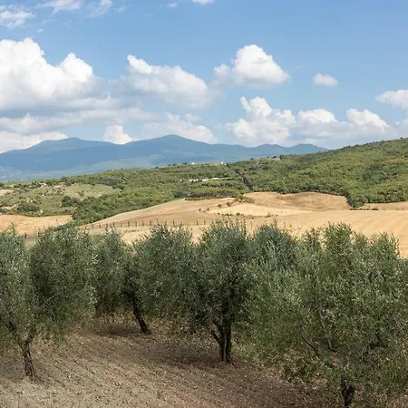 Little Val D'orcia * Montenero d'Orcia